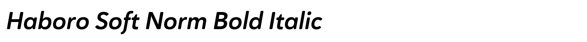 Haboro Soft Norm Bold Italic image